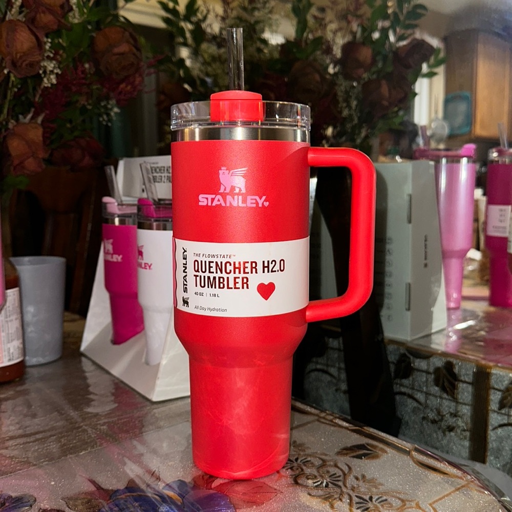 Valentines Day Stanley